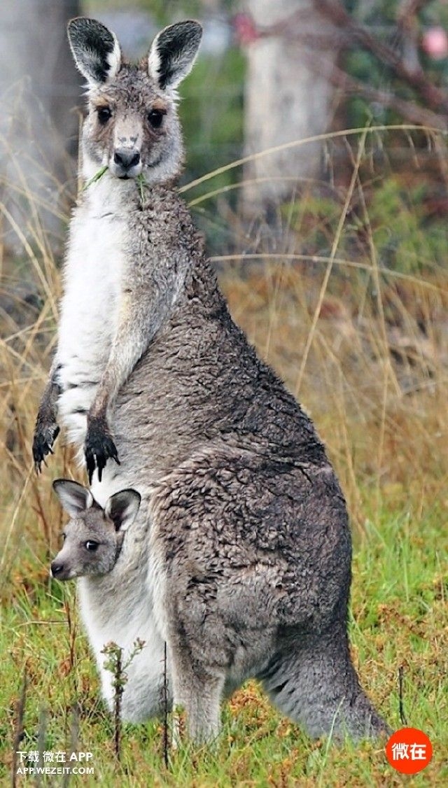 Image httpimages900twupload_file25contentac36b901-55c1-c28a-a4f0-8b5f1b028d2djpg