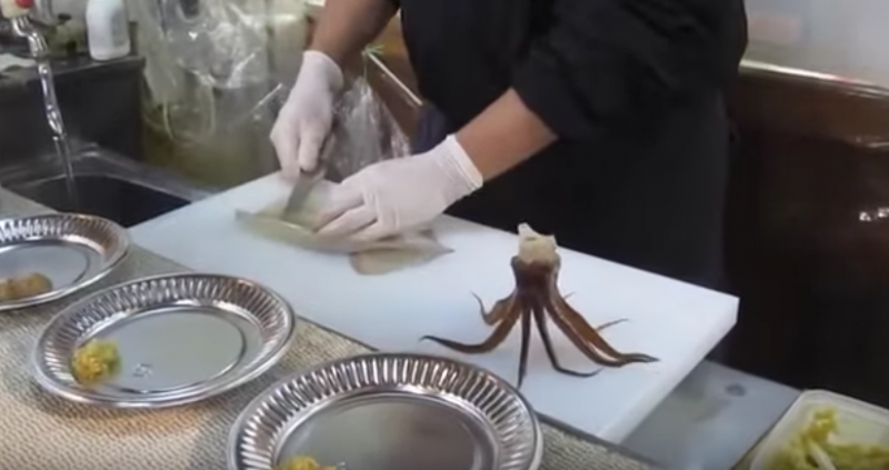 震撼！魷魚被廚師一刀切成兩半，害網友全嚇傻了！沒想到那條魷魚最後竟然...  太可怕了！