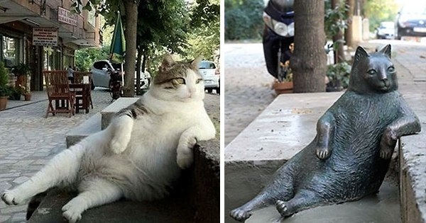 這隻街貓「懶」到出名，過世後人們還主動幫他打造專屬雕像？！原來背後的寓意是.....