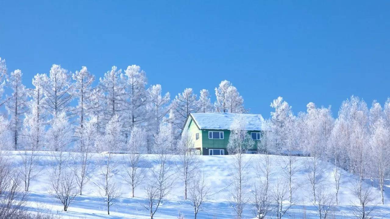 世界上有一種雪叫做「北海道的雪」，滿足了無數人對冬天的幻想！