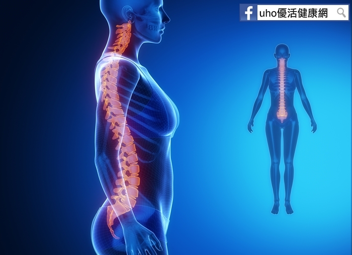 擊退脊椎問題，快學「八段錦」運動！簡易8招，減緩疼痛與不適～