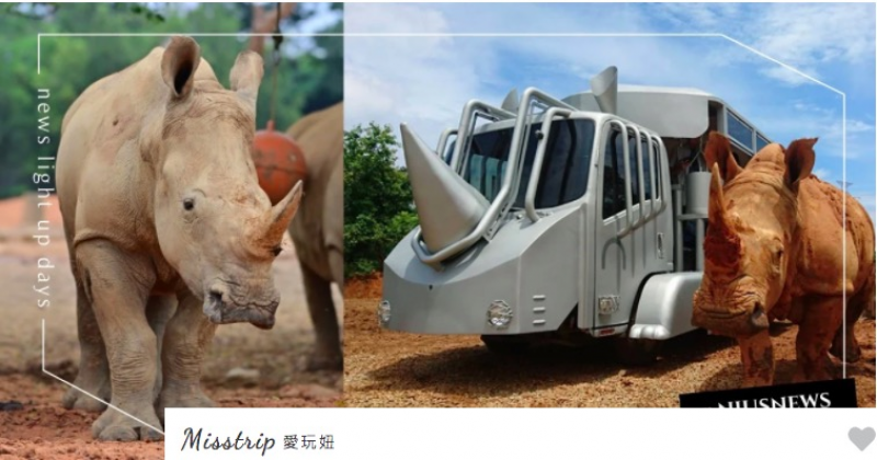 近距離接觸白犀牛不是夢！六福村「2020犀望秘境探險」搭乘巴士一起探索生態