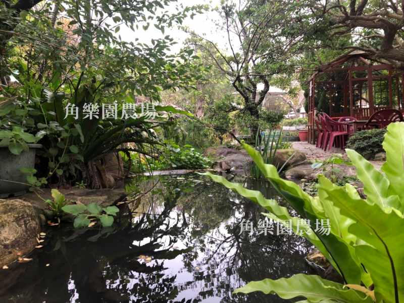 【桃園八德】休閒農場 | 生態烤肉B區 | 角樂園農場