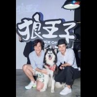Life生活網 哈士奇力挺 狼王子 古斌 薛仕凌為戲宣傳不忘為毛小孩發聲