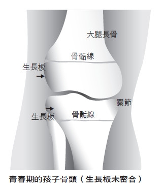 Life生活網 醫療保健 想要 長高 骨骼生長角度很重要