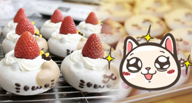 让日本人也为之疯狂！IKUMI妈妈的动物造型甜甜圈专门店│妞新闻