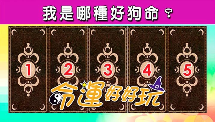 【命运好好玩】塔罗占卜,我是哪种好狗命?