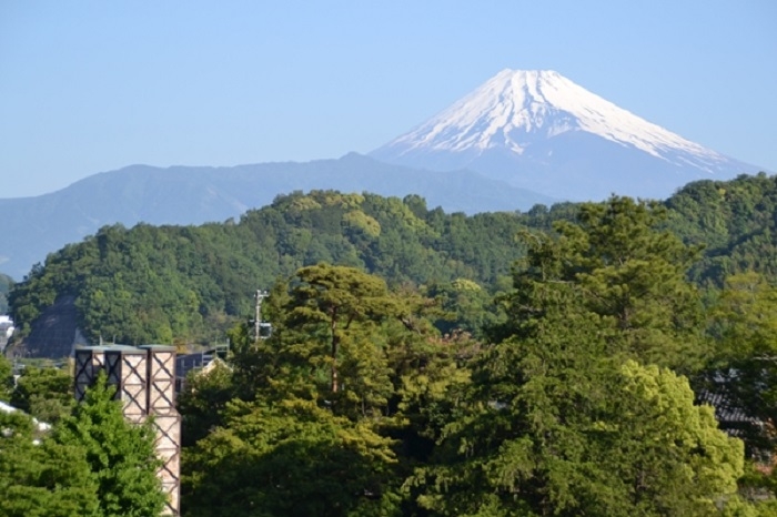 快拜访樱桃小丸子的故乡，只有在这才能感受的日本独有魅力！除了富士山与美食，静冈还可以这样玩...