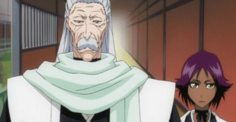 黑崎一護真正身分竟然是這個貴族 死神 １０大家族 黑崎 與 朽木 家族齊名