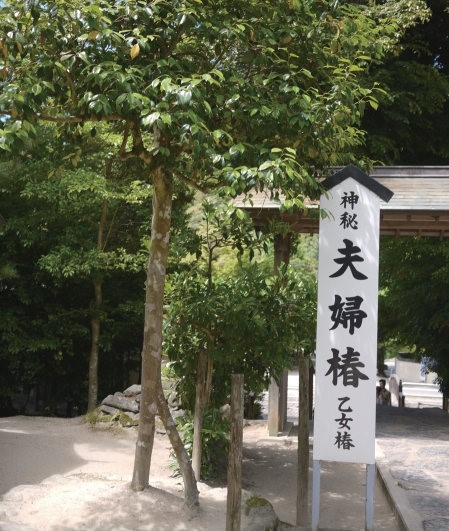 鏡池占卜 戀人在何方 快來 八重垣神社 求桃花 再來 少女