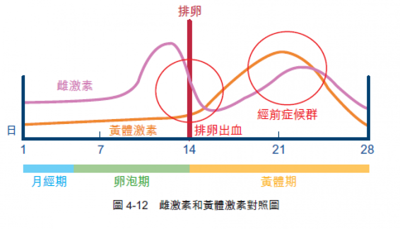 Life生活網 胸部脹痛 肚子悶痛 為什麼會有 經前症候群 中醫師教你4招改善經前不適