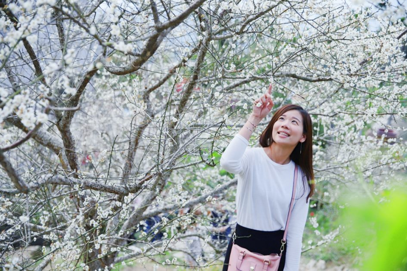 Life生活網 梅花不是愈冷愈開花 台南梅嶺追梅雪 嚐梅餐