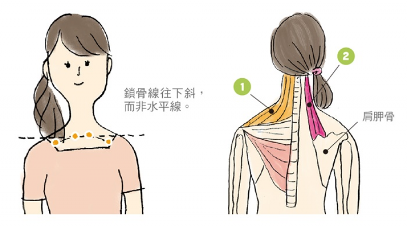 Life生活網 肩膀痠痛 好惱人 教你分辨 肌肉疲勞 非 肩關節疼痛