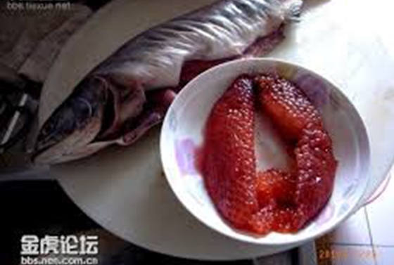 太可怕了，千萬別再吃這種魚！男子陪朋友吃魚後感覺肚子漲漲的不停放屁，結果褲子上竟然還拉出油.......