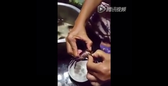 她將螃蟹殼裡的東西挖出放在碗裡，細看之下發現的東西讓她差點失聲尖叫！