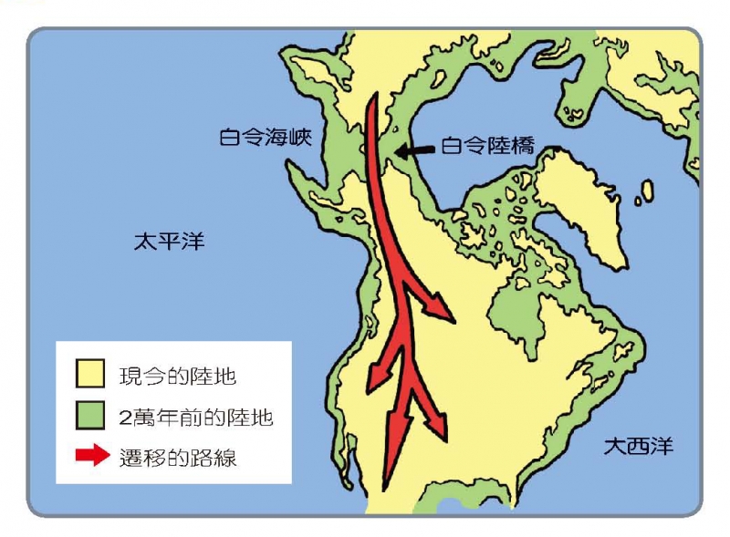 古代人們如何從亞洲遷移到美洲？