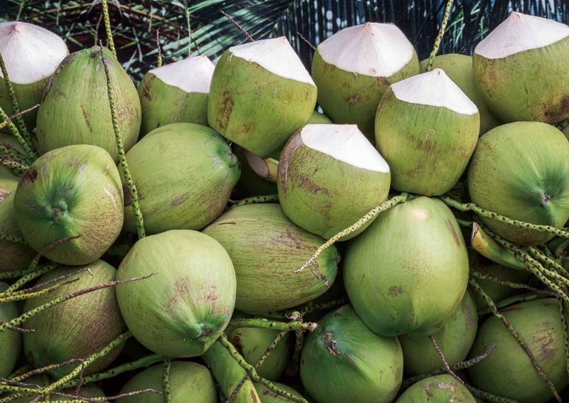 【好書推薦】《吃出堅果的學問》血腥傳說！椰子古稱「越王頭」
