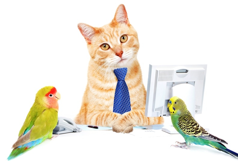 十二星座求職面試禁忌大解析！！看完這篇以後面試找工作都不是問題啦！！