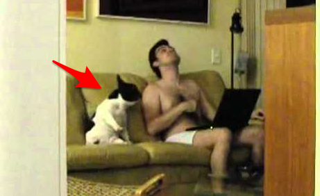 女子偷偷拍攝在客廳的男友，沒想到卻拍到這段畫面！男友和狗狗的「舉動」讓網友全笑翻了....