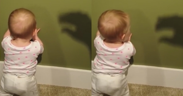 小BABY以為牆上的影子是真的怪獸，當影子慢慢接近而且張開嘴巴….下一秒讓大家都笑翻了！