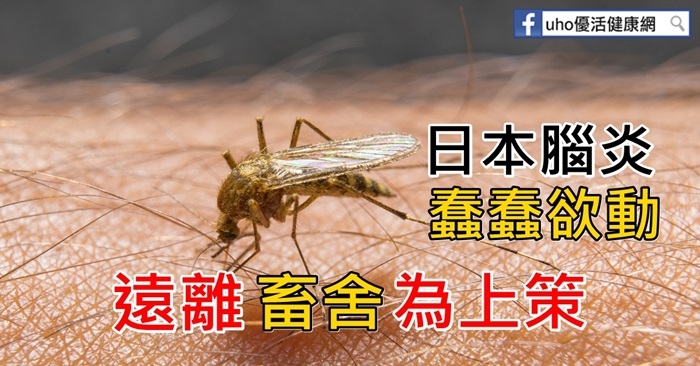 注意防蚊！彰化首例日本腦炎現蹤～「這幾招」可以有效預防！