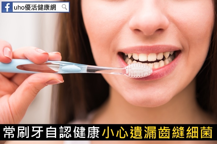 常刷牙自認健康　小心遺漏齒縫細菌！