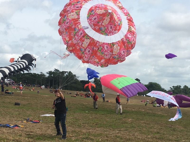 亞洲風箏聯合會馬來西亞巴西古當風箏節起飛  