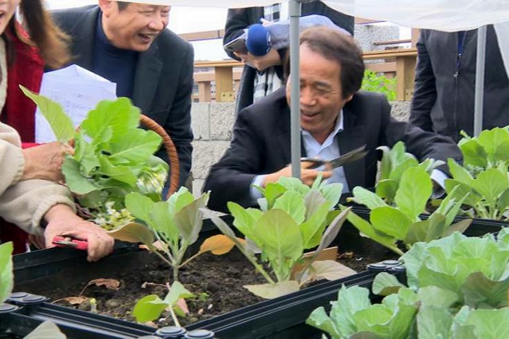 台北打造田園城市 老人住宅「可食地景」超療癒