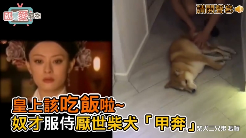 皇上駕崩了！吃飯了！甲奔了！