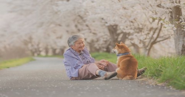 日本小哥抓拍奶奶和狗狗的照片，第一張就被暖哭了…