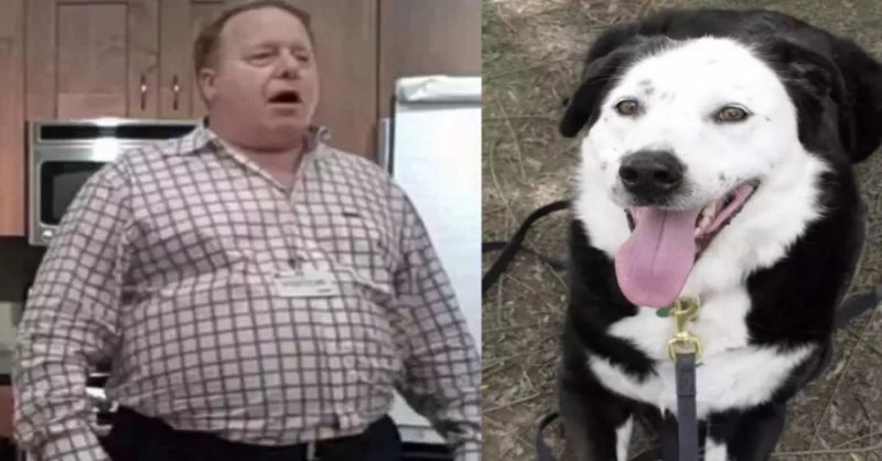 醫生斷言：這對肥胖的主人和狗狗都活不久，但一年後...