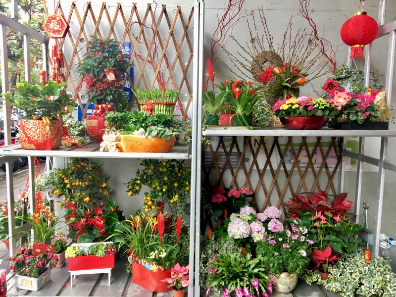辦年貨、享年味到臺北花市【年貨大街】！一次滿足年節花卉及蔬果需求
