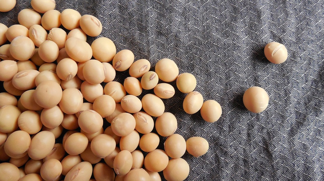痛風不能吃黃豆是誤解，選擇小分子肽胜肽好吸收