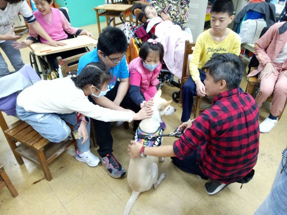 12月3日國際身心障礙日，心輔犬伴身心障礙兒童上課