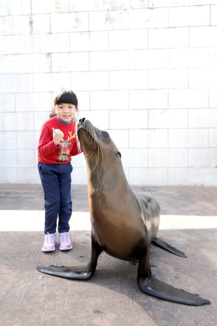 國內旅遊正夯；民眾首選花蓮　海洋公園加碼『紅衣小童免費入園』