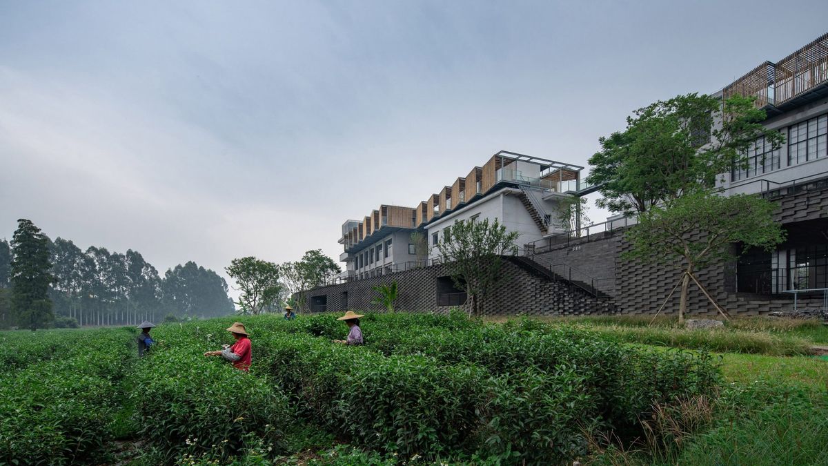 四川茶館甲天下，源計畫O-office重啟廣州70年老茶廠「對川問茶」