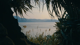 《綠色牢籠》拍攝地西表島有望成為世界遺產 黃胤毓盼影迷：「看見這座島嶼與台灣間　千絲萬縷的複雜歷史」