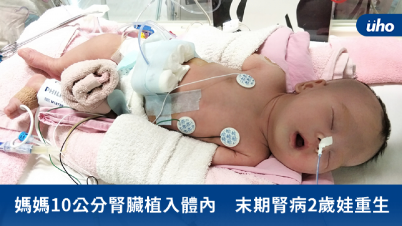 媽媽10公分腎臟植入體內　末期腎病2歲娃重生