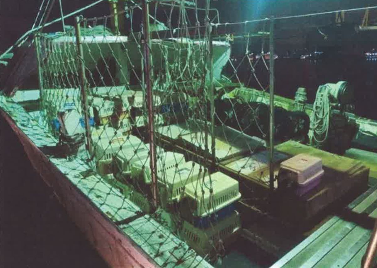 漁船走私154貓案　偵結起訴9人建請從重量刑