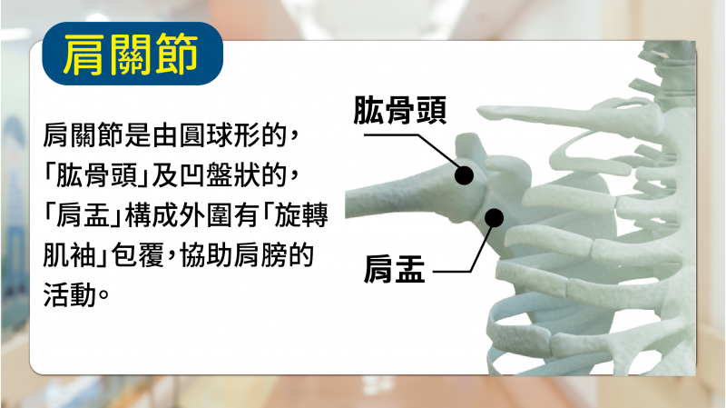 肩關節疼痛新選擇 | 反式人工肩關節健保給付 | 健康好方法 | 骨科 盧昇宏醫師