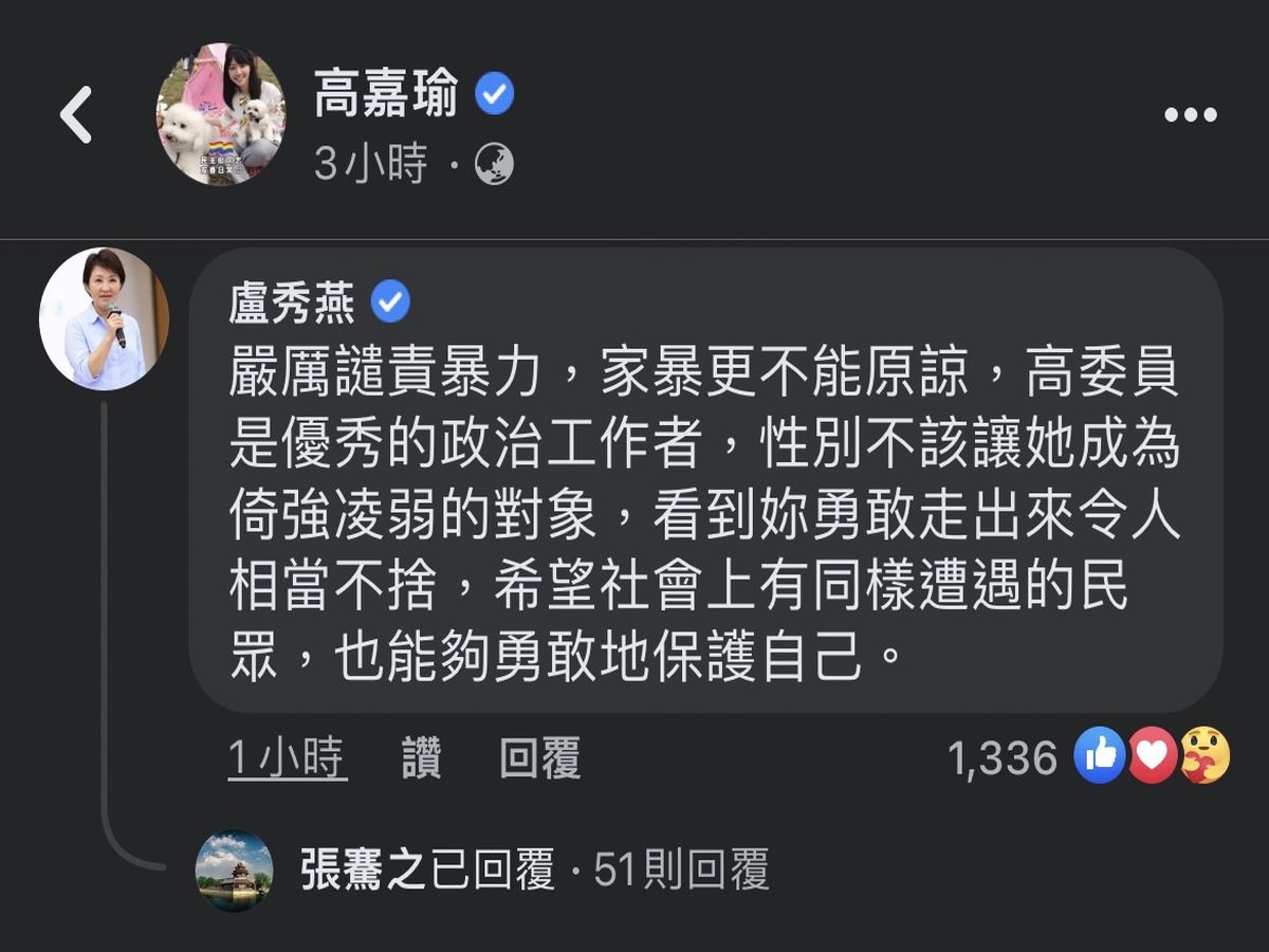 高嘉瑜被打　盧秀燕臉書留言譴責暴力