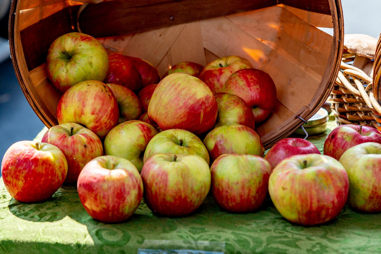 蘋果減肥有效嗎？6大真相破除迷思：統計學表示「醫生不會遠離你」，打蠟、農藥建議3步驟清洗！
